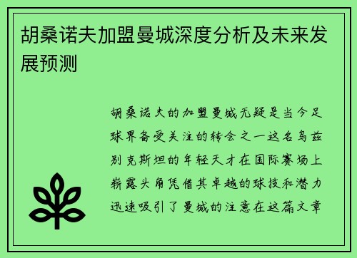 胡桑诺夫加盟曼城深度分析及未来发展预测