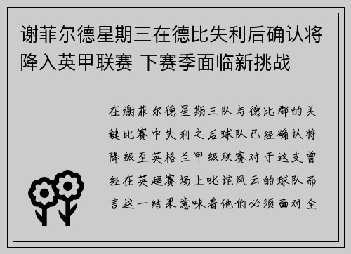 谢菲尔德星期三在德比失利后确认将降入英甲联赛 下赛季面临新挑战